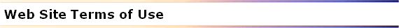 Web Site Terms of Use